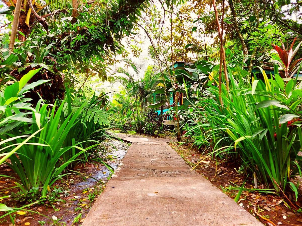 Cabinas Tortuguero Bagian luar foto