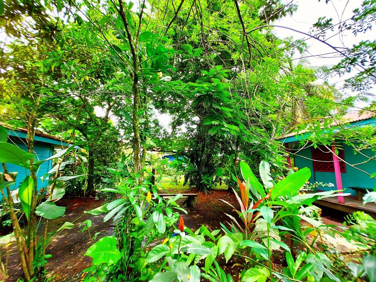 Cabinas Tortuguero Bagian luar foto