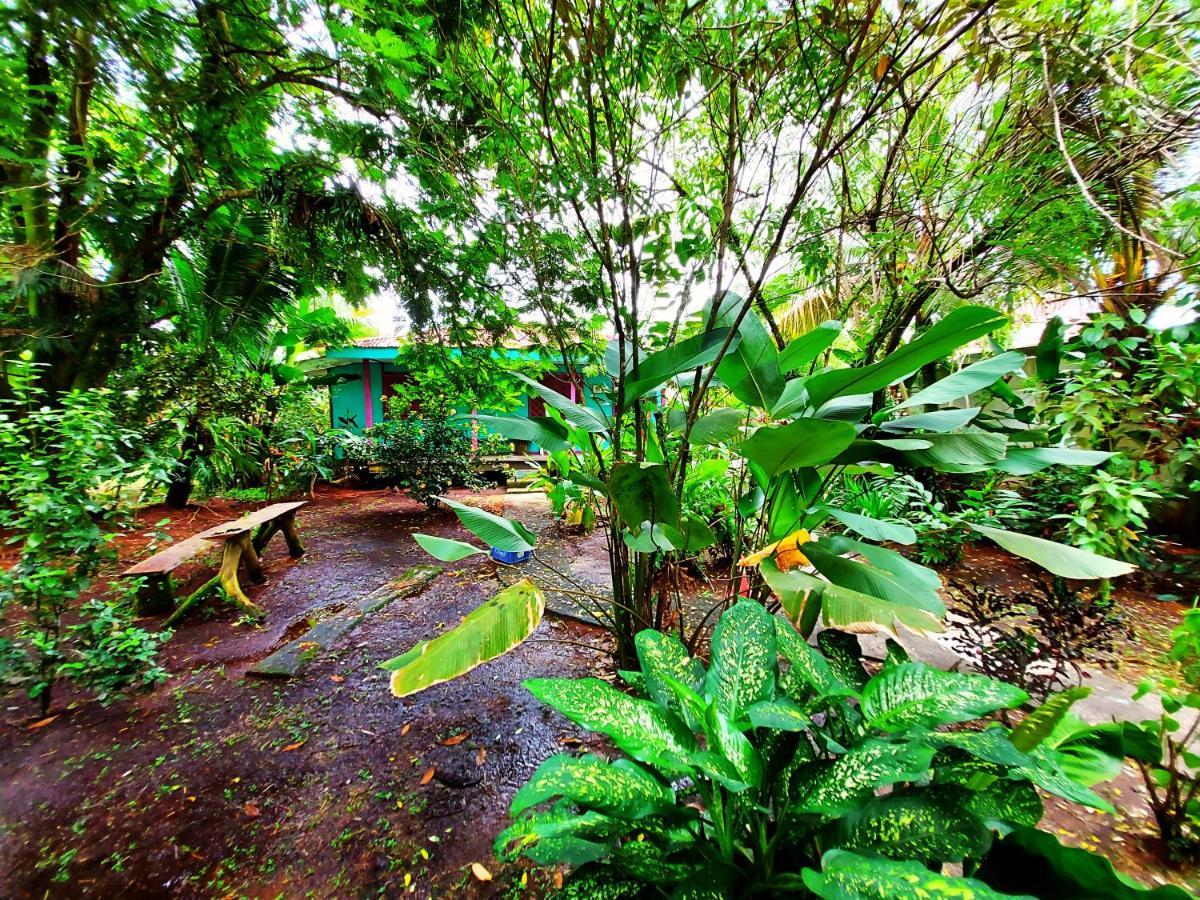 Cabinas Tortuguero Bagian luar foto