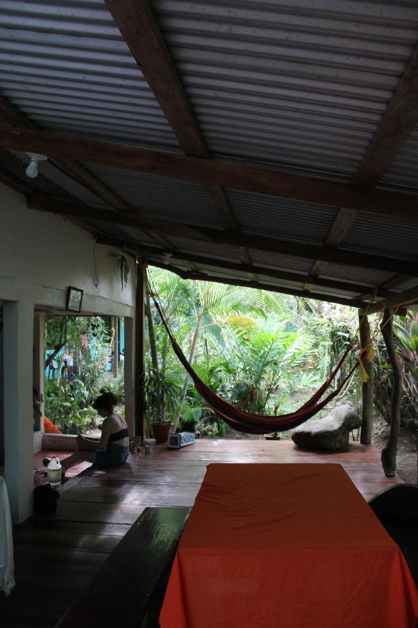 Cabinas Tortuguero Bagian luar foto