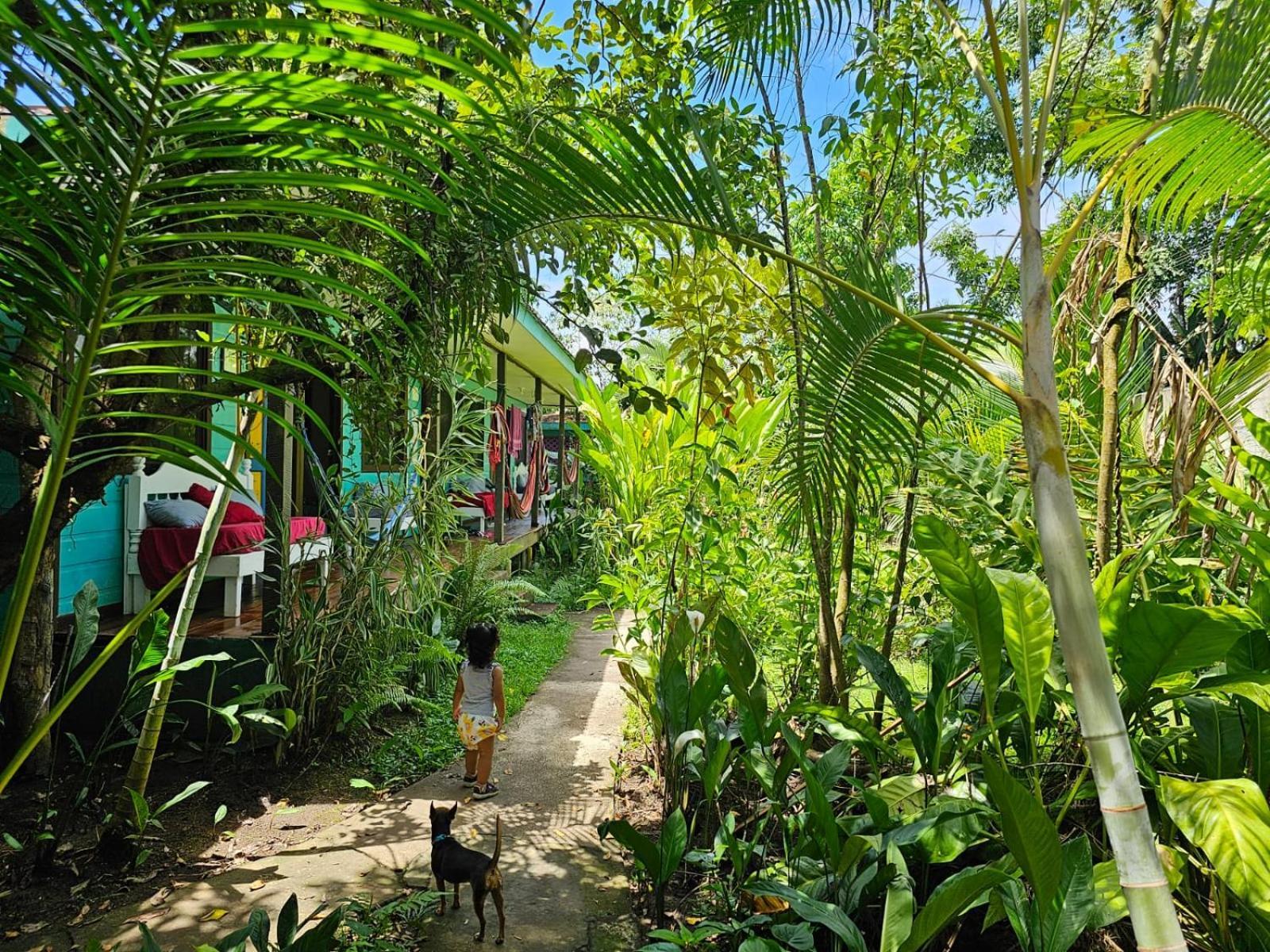 Cabinas Tortuguero Bagian luar foto