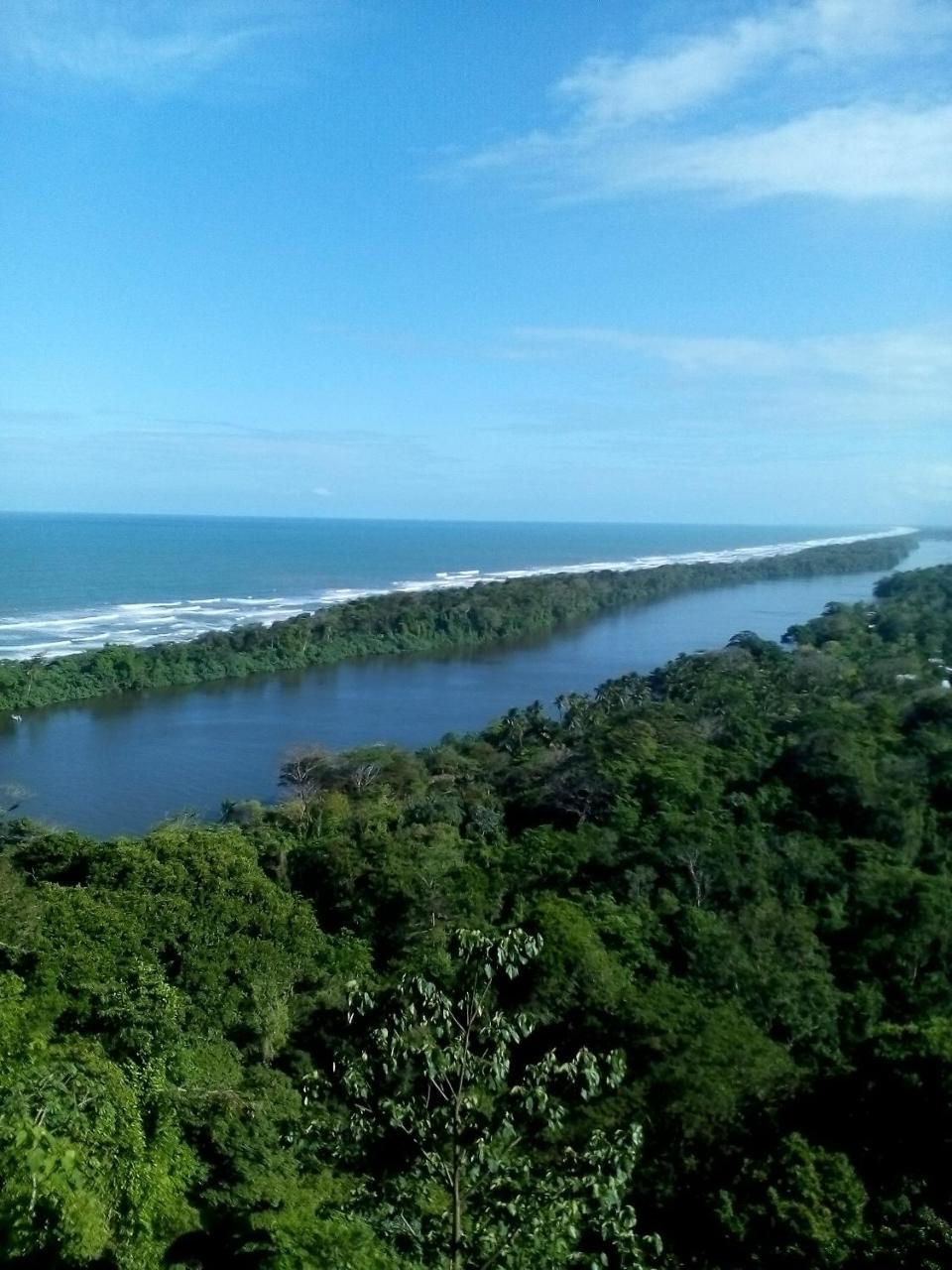 Cabinas Tortuguero Bagian luar foto